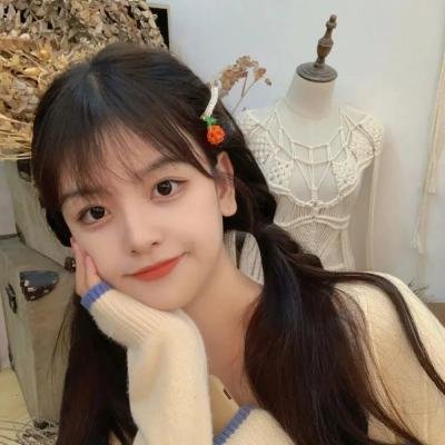 月球叛军：火之女导剪版 海报